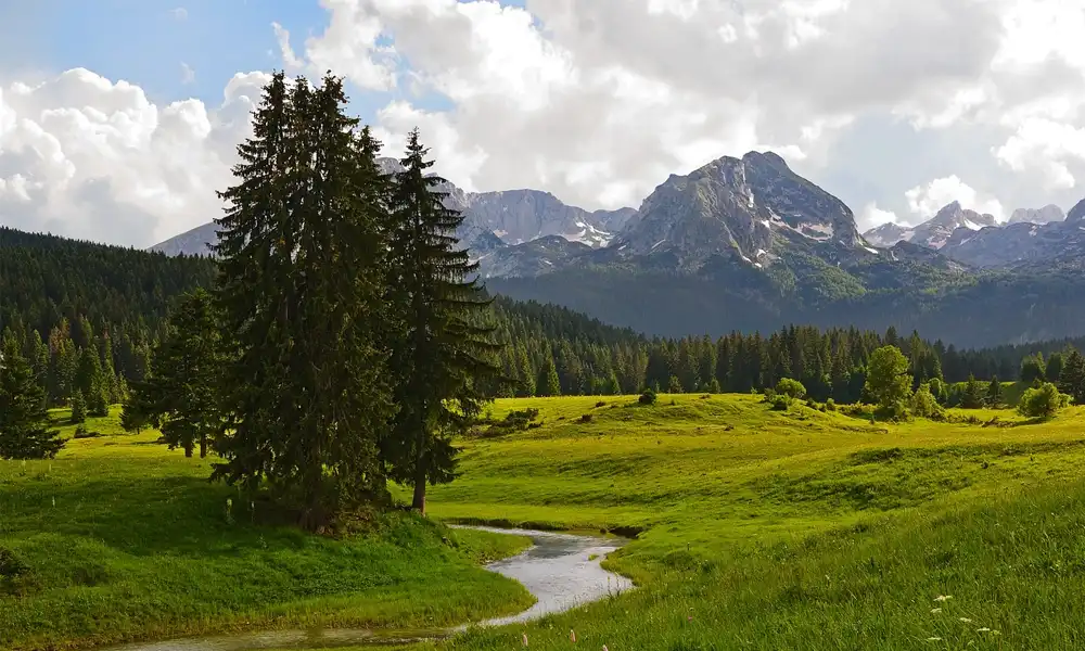 Nacionalni parkovi Crne Gore