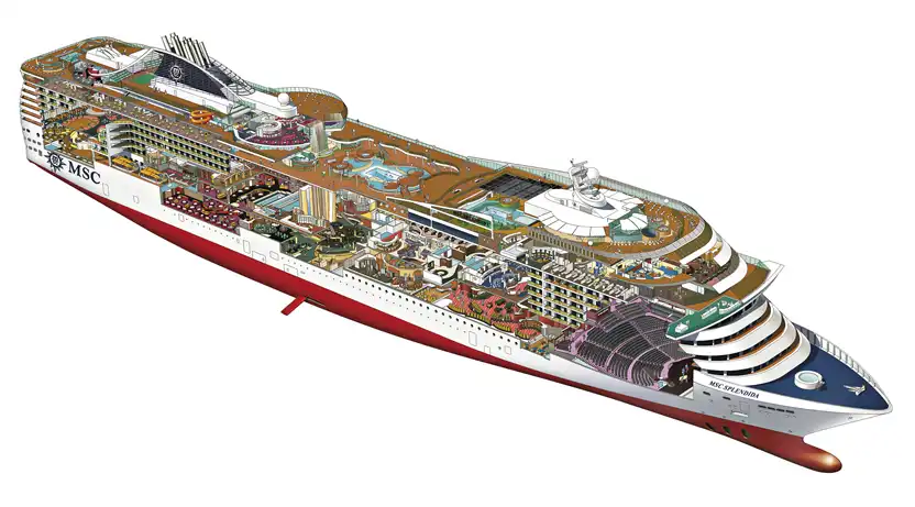 msc splendida cross section