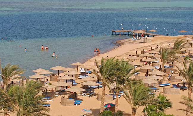 Sea Star Beau Rivage