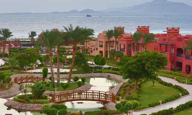 Charmillion Sea Life